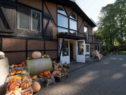 照片: Brunnenhof in der Ried